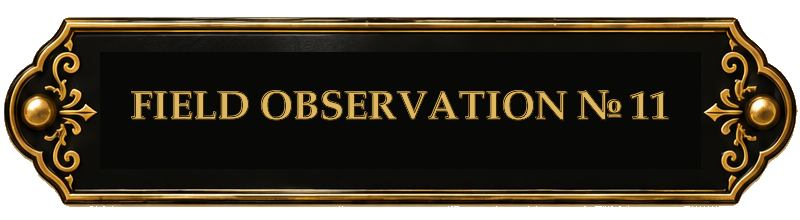 FIELD OBSERVATION № 11